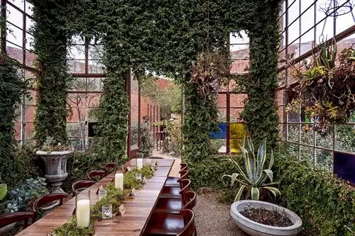 Эти 13 ресторанов стоят менее 50 долларов. И они одни из лучших в США