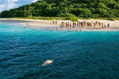 Бассейны скучны – попробуйте эти 12 заплывов в открытой воде
