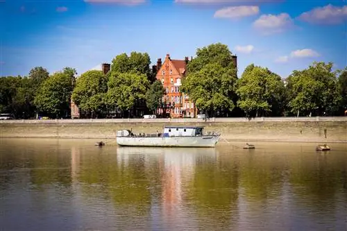 Shutterstock_1174743874