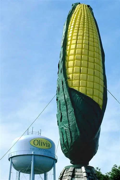Image Image