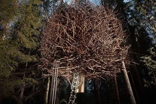 10 необычных домиков на деревьях, которые заставят вас кричать «Накорми меня, как птенца»