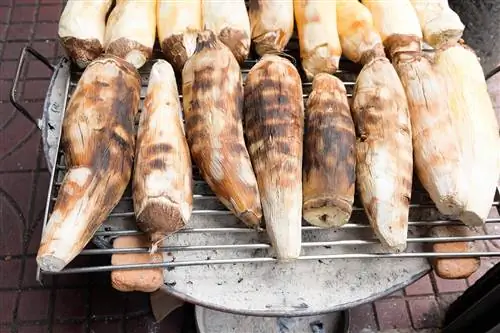 Один из основных ингредиентов нигерийской кухни