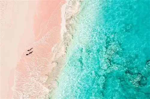 WF Карибы. Каково это ДЕЙСТВИТЕЛЬНО переехать в рай посреди пандемии