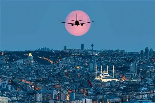 «Почему мне нужно держать оконные шторы открытыми?» и ответы на 5 других вопросов о рейсах