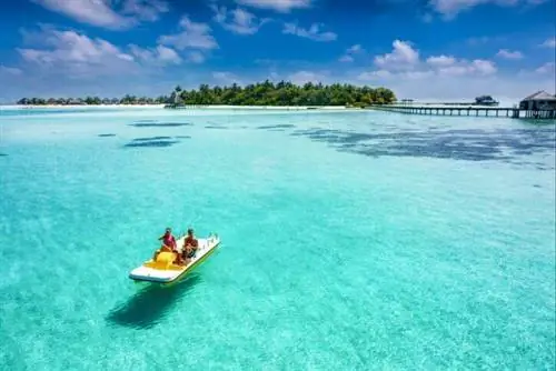 04_Uber_Robberiesshutterstock_782758753