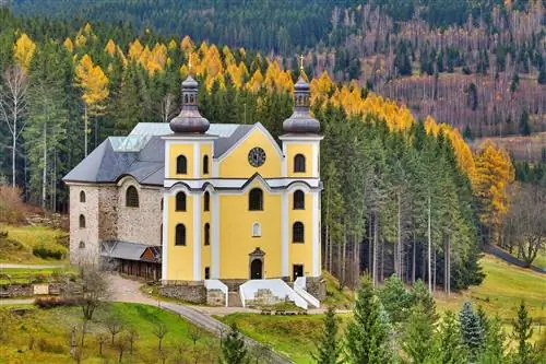 4.) Shutterstock_1683630391