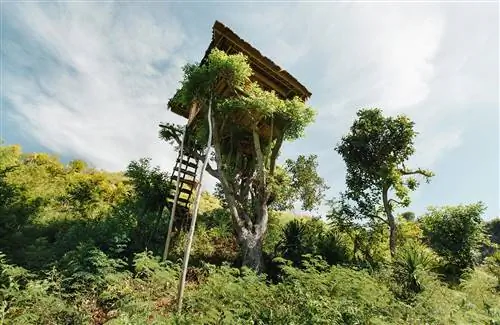 10 невероятных отелей Treehouse в США