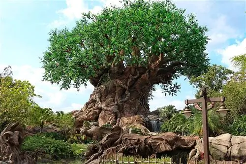 12 способов провести невероятные свидания в Disney