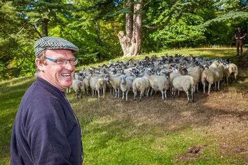 Чарльз Герринг кредитует Бленхеймский дворец (4)