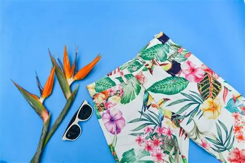 10 туристических покупок, которые необходимы для вашего постпандемического отпуска Peacocking