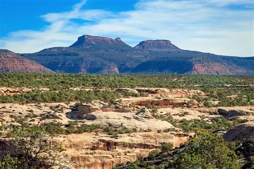 10 невероятных вещей, которые нужно сделать в Национальном монументе Bears Ears
