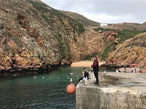 Берленгас 2 засчитывается Терри Уорду