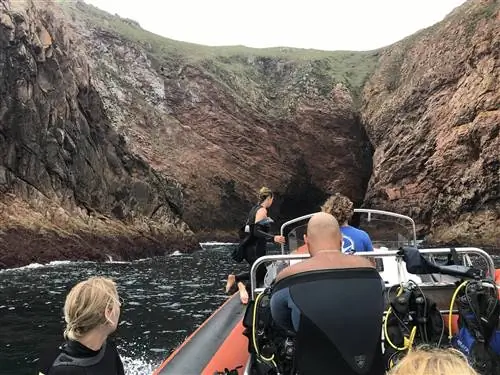Дайвинг Berlengas Biosphere, кредит Терри Уорда