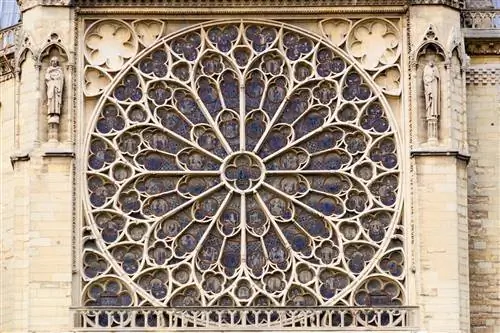 Shutterstock_224025151