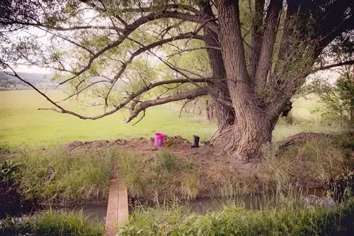 Водные канавы в Нью-Мексико намного интереснее, чем вы думаете