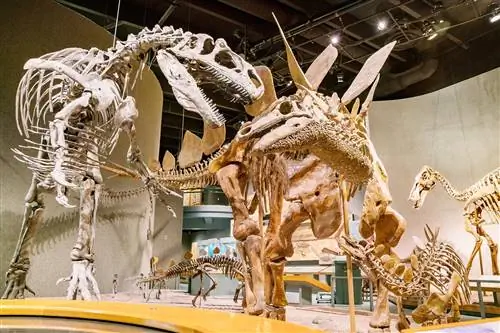 Как поддержать любимые музеи в праздничный сезон