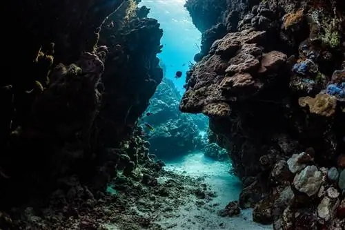 4 вещи, которые мы (до сих пор) не знаем об океане