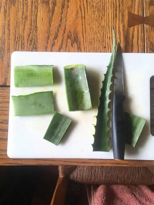 уганда общежитие 3