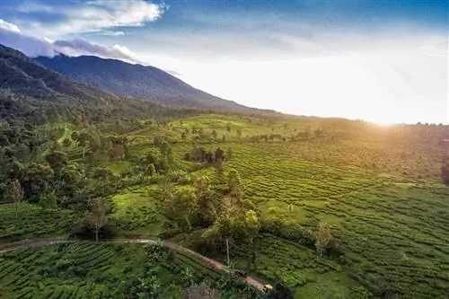 Эти 4 района Джакарты идеально подходят для знакомства с разнообразной гастрономической культурой Индонезии