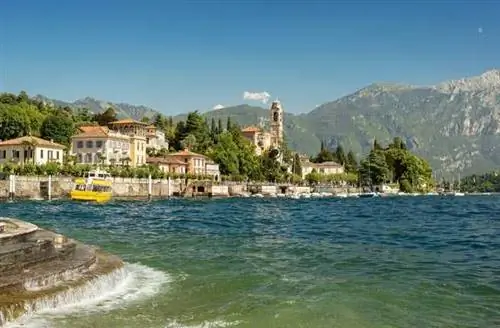 Image Image
