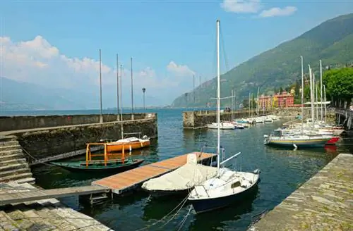 Image Image