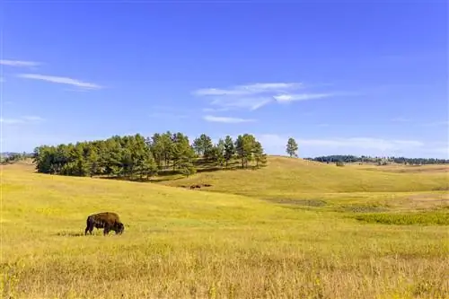 32_Ultimate_NatlParks_WindCave_shutterstock_341299919_32