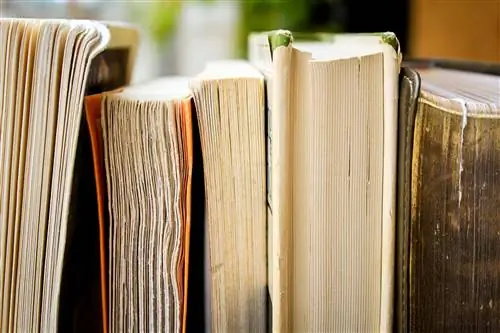 Перенеситесь назад во времени с этими историческими романами