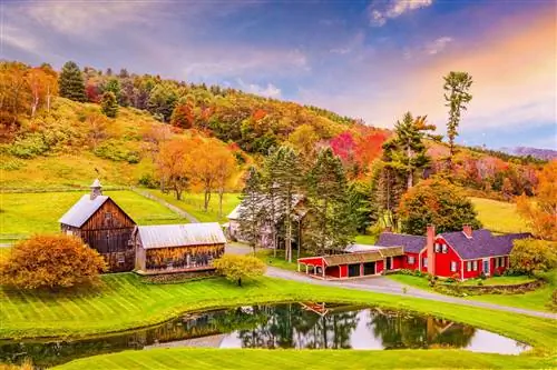 11 вещей, которые нужно знать перед поездкой в Новую Англию