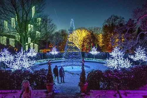 12 самых популярных световых дисплеев для отдыха в саду в США