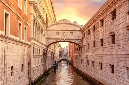 Что есть что? Эти 14 сайтов из списка желаний имеют удивительно похожие копии