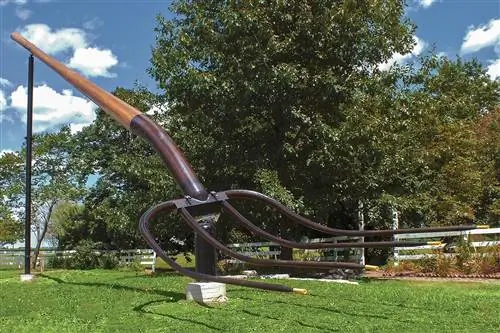 Image Image
