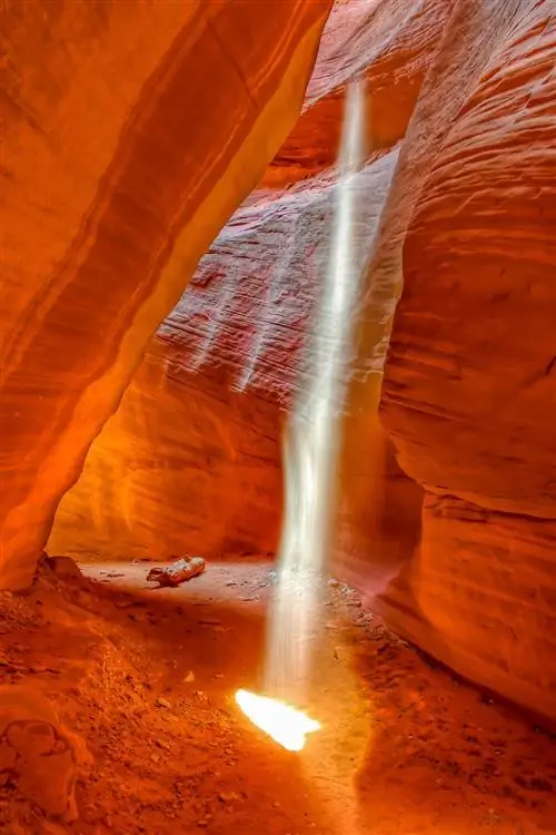 Image Image