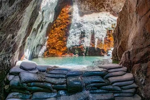 Image Image