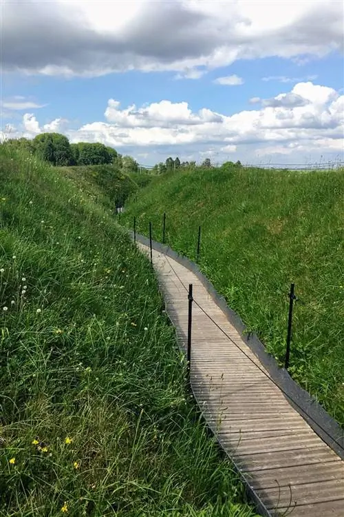 Бомонт-Амель-Ньюфаундленд-Тренчи