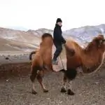 Изображение Изображение