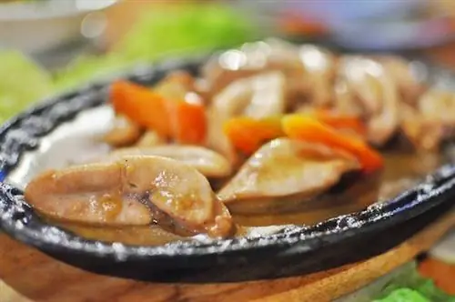 Испепеляющий Багайбай