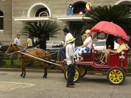 Калеса с туристами