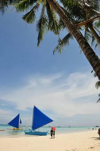 под кокосовой пальмой