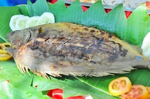 Свежие морепродукты на обед