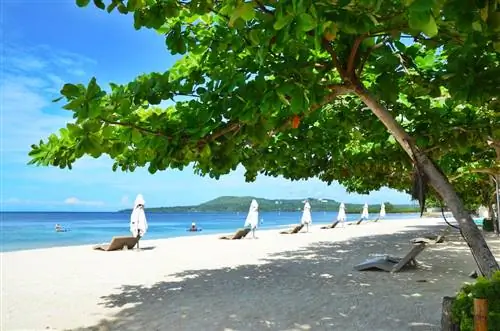 Возвращаясь к Бохолу: PHILTOA Bohol Famtour, день 1