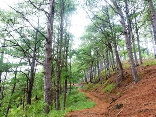 Сейчас под гору - GMT