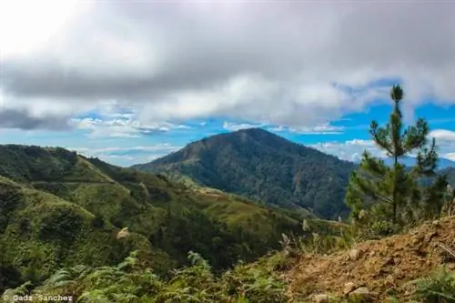 Вид отсюда - Гадз Санчес