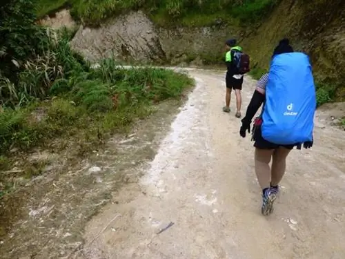 Длинная извилистая дорога по Гринвичу