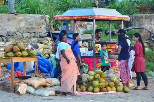 Продавец фруктов на пляже Ковалам