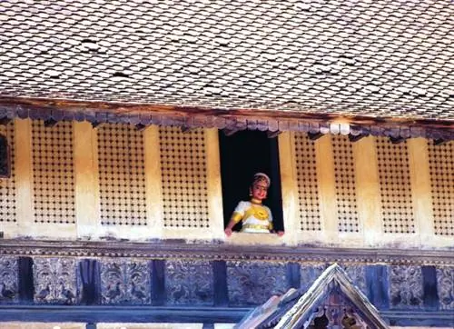 Дружелюбные местные жители