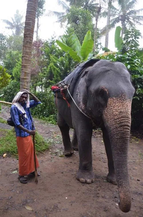 Тропа Таскер в Теккади