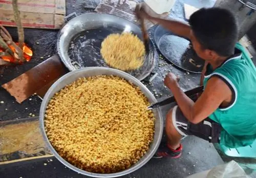 Фабрика Чичакорн в Биналонане