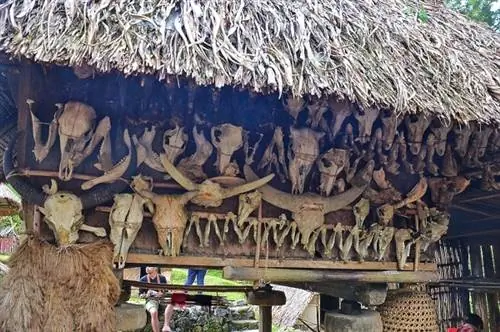 Кости животных как декоративные детали домов Ифугао