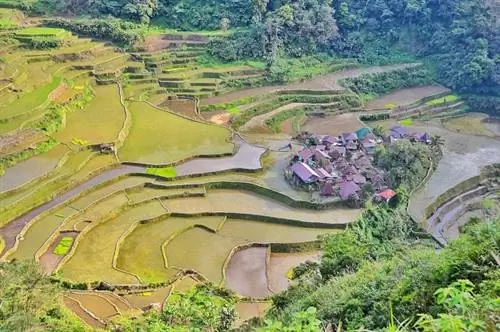 Деревня Бангаан и рисовые террасы