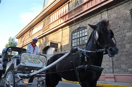 Поездка Калеса в Интрамуросе